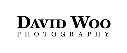 David Woo (Dallas, TX)