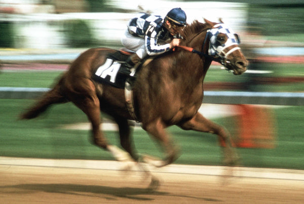 Jockey Ron Turcotte guides Secretariat toward the finish line to win the 1973 Kentucky Derby. Rich Nugent / The Courier Journal