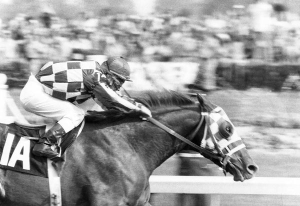 Secretariat wins the 1973 Kentucky Derby. Bud Kamenish / The Courier Journal