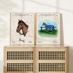 Horse Bridle Patent Wall Art