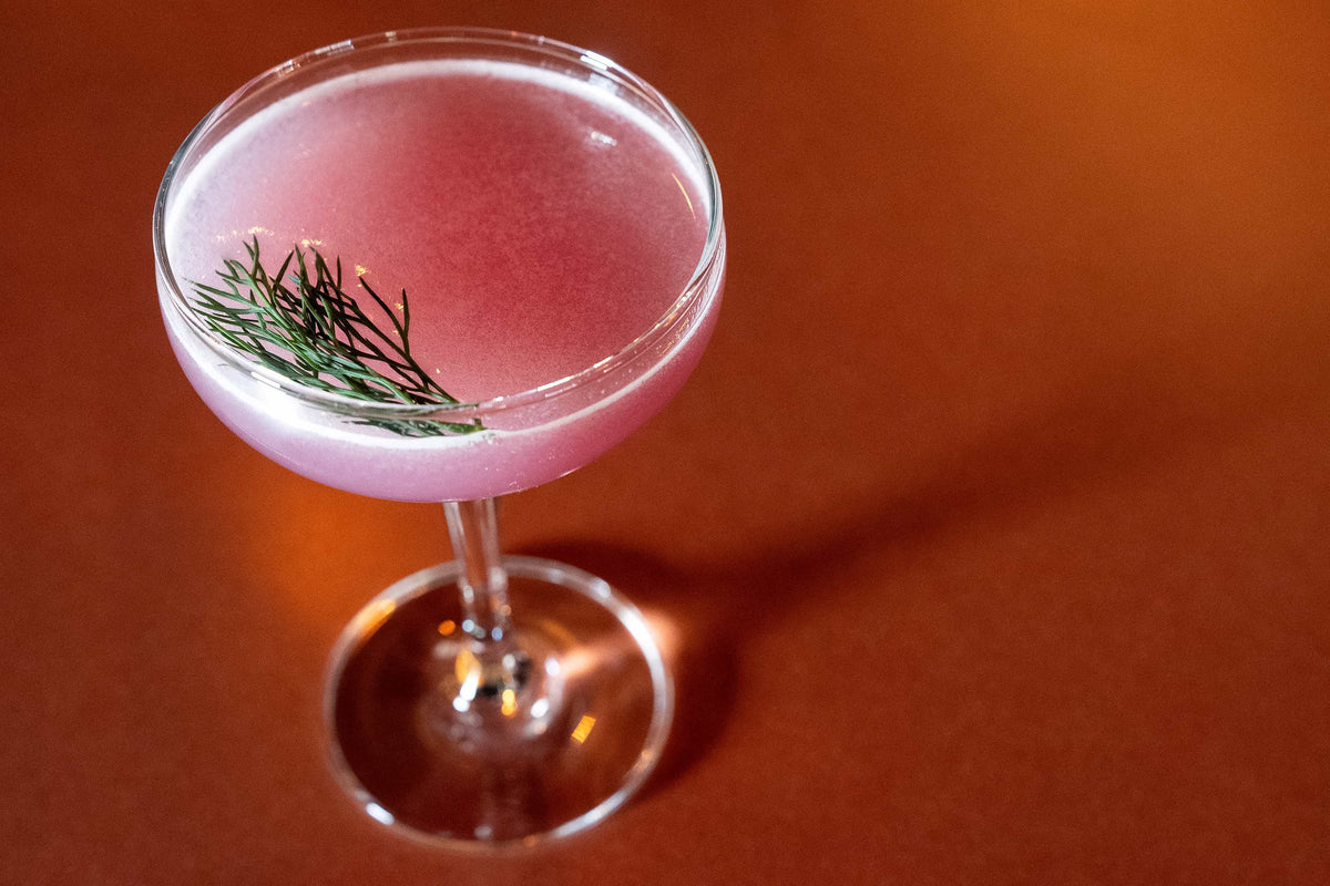 Shake & Sip: Recipes from the Best Bars in America