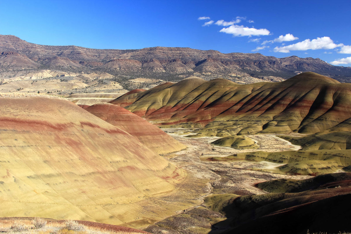America: The Places and Paths That Made Us