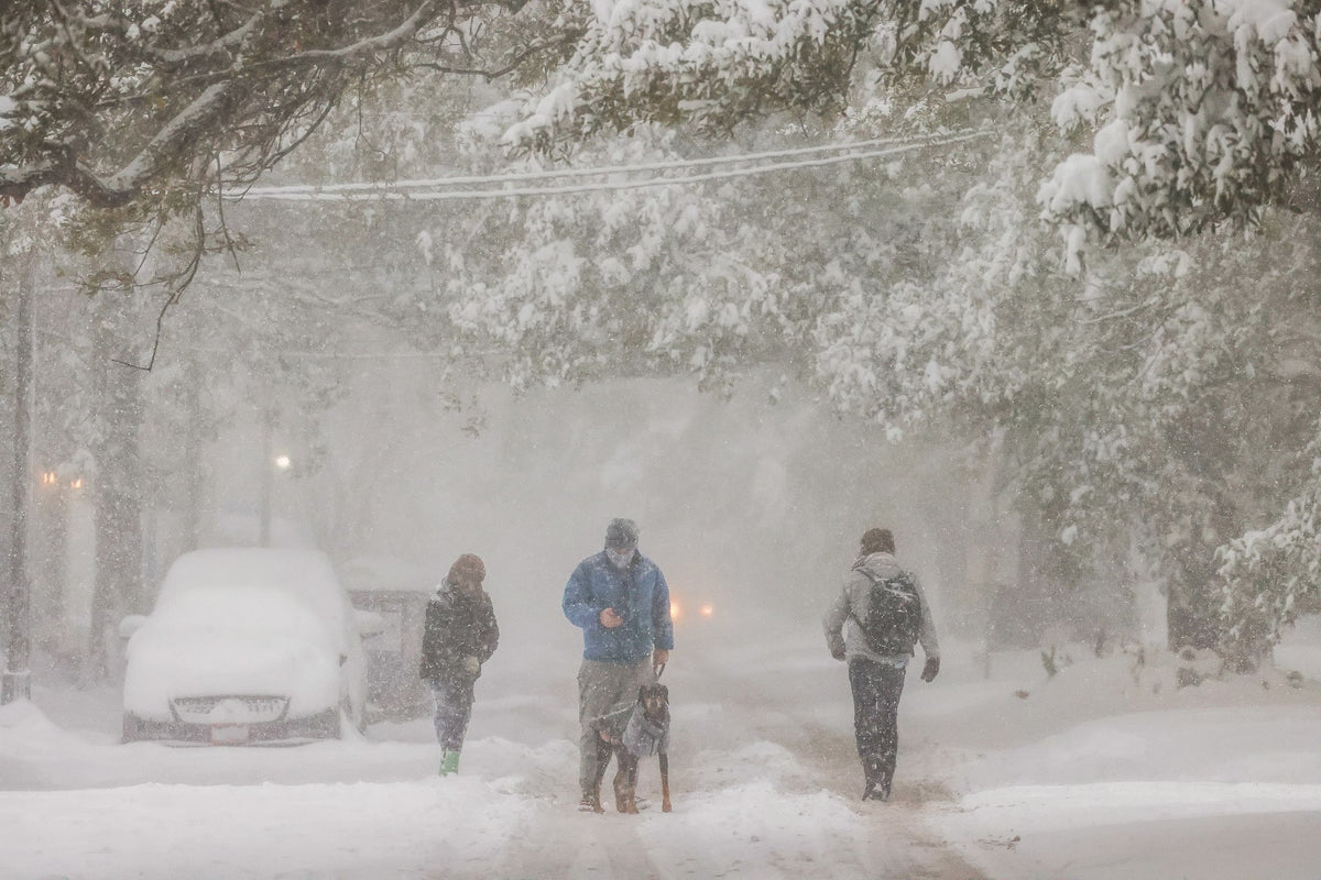 So Much Snow! A Joyous Celebration of the 2025 Louisiana Snowstorm