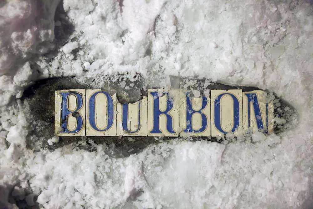 So Much Snow! A Joyous Celebration of the 2025 Louisiana Snowstorm