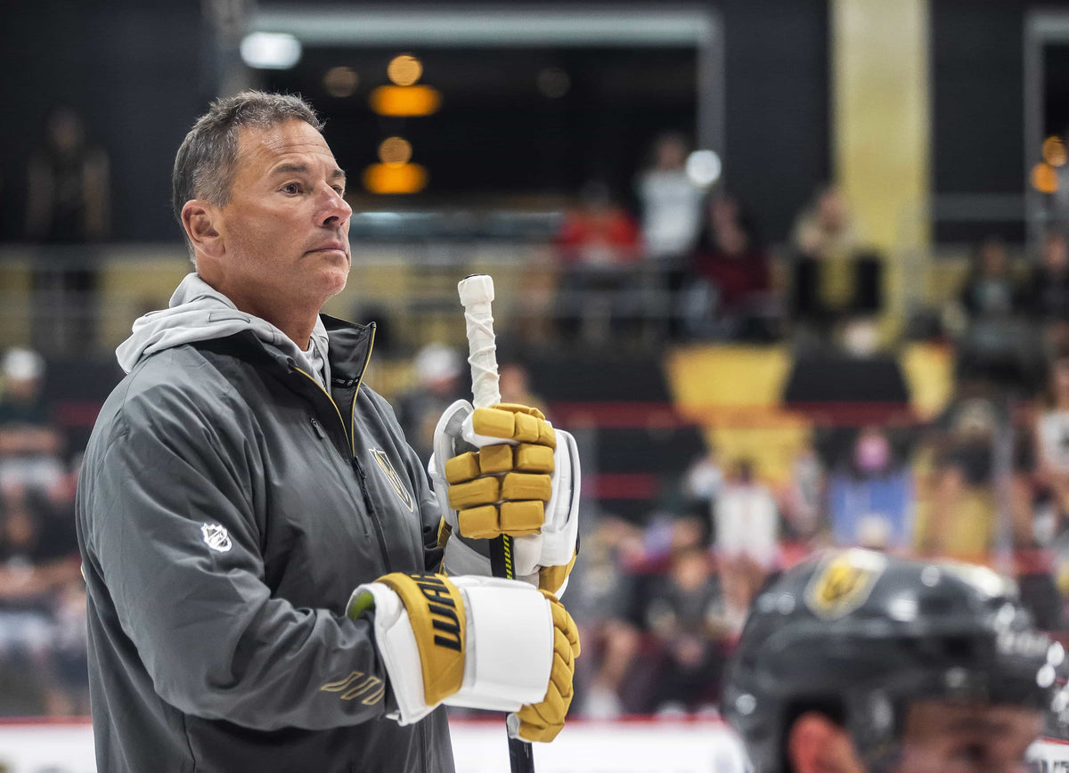GOLDEN! The Story of the Vegas Golden Knights’ Stanley Cup Season