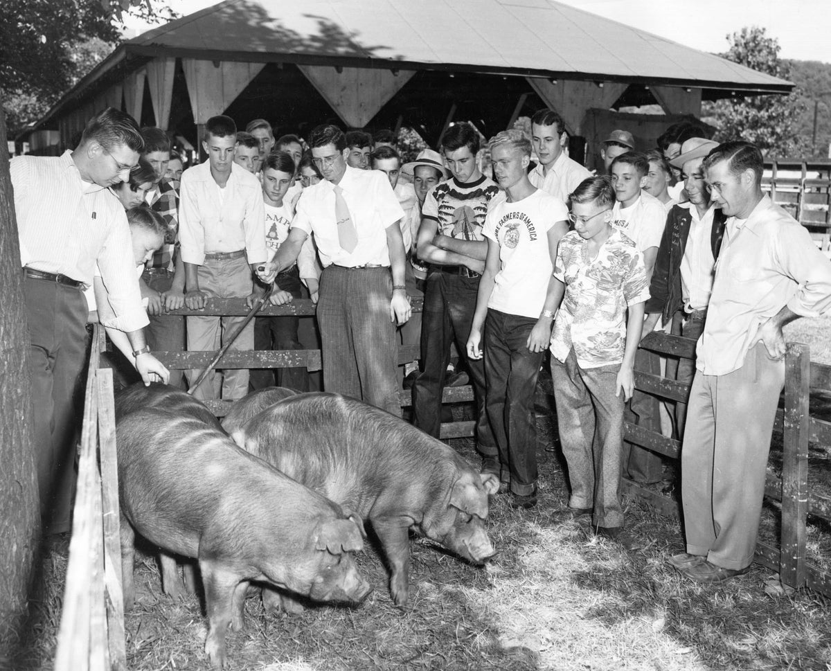 Fairgo Forever! 100 Years of the Allegany County Fairgrounds