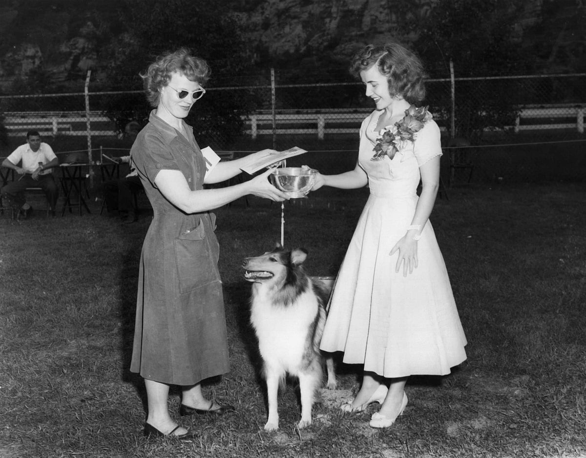 Fairgo Forever! 100 Years of the Allegany County Fairgrounds