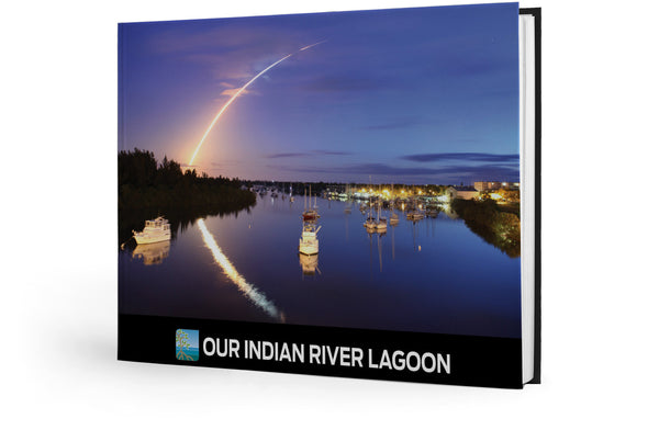 Our Indian River Lagoon