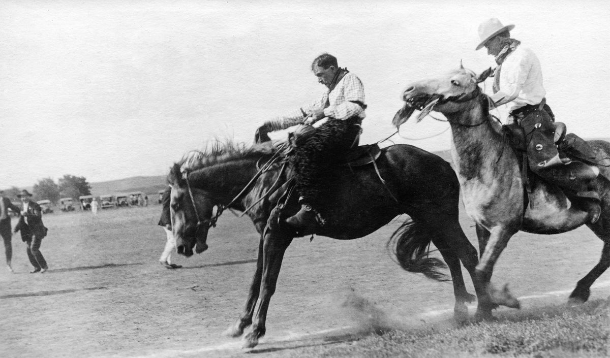 Bronco-busting cowboy, Bismarck, 1919. Courtesy State Historical Society of North Dakota / #00300-00070