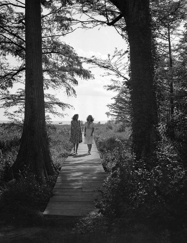 Jean Cox (left) and Mary Elizabeth Bray stepping into the shade of the cypress trees by Lake Phelps as they walk toward the Somerset Plantation, 1938. Courtesy State Archives of North Carolina, Conservation and Development, Travel Information Division Photograph Collection, 1373