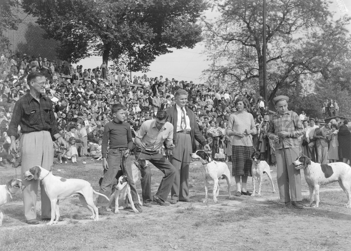 A group standing alongside hunting dogs assembles in front of an audience at the annual Dog Mart in Fredericksburg, 1950. Courtesy Library of Virginia, Chamber of Commerce Collection