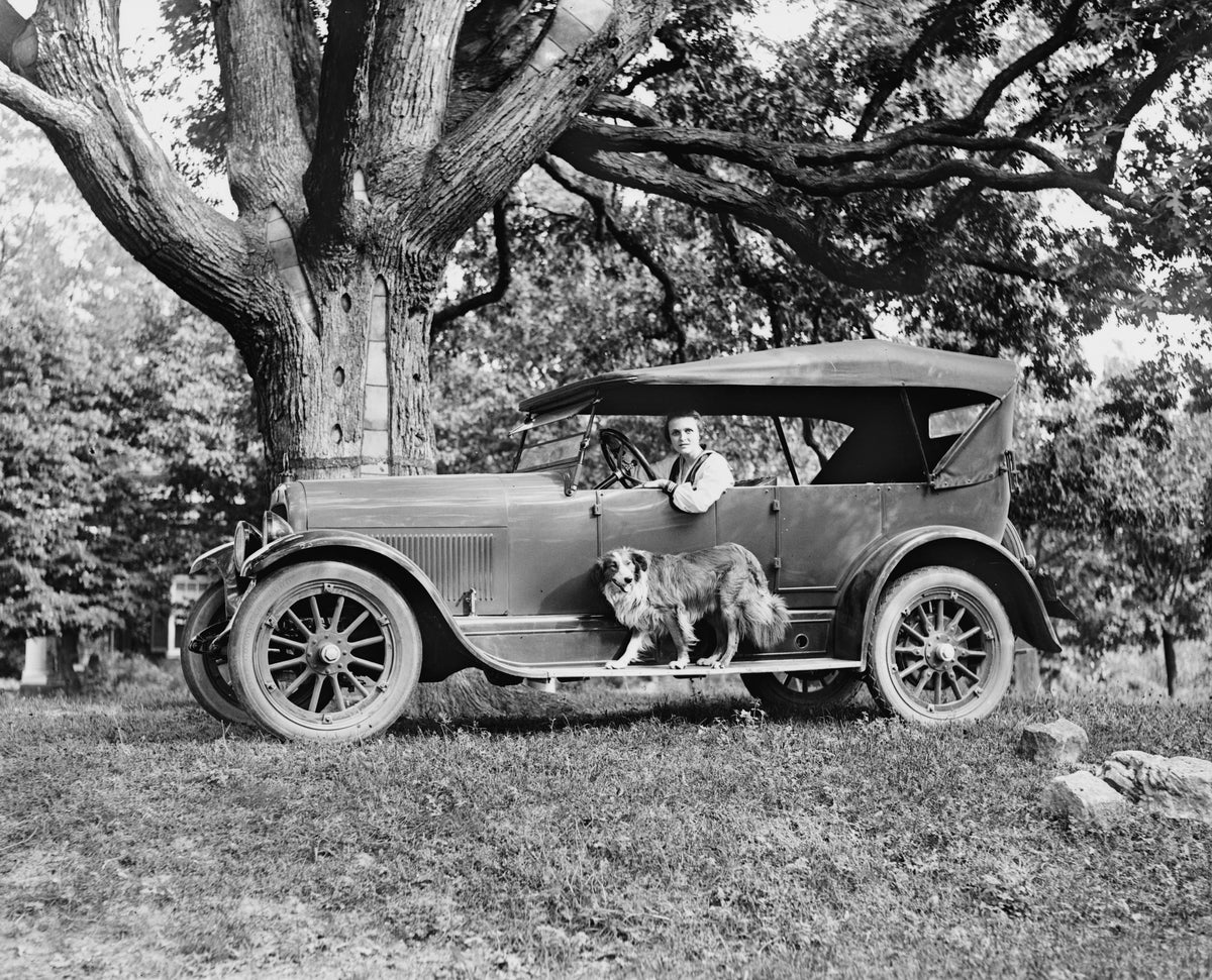 Young woman with her dog in a Jordan car, 1920. Courtesy Library of Congress