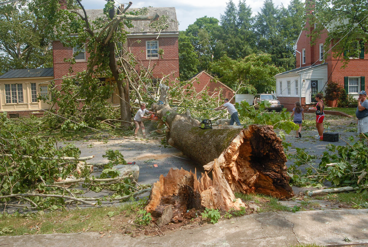 Don Wood helps cut down a large tree that fell in front of his sister’s home on North Alabama Street during a storm, Martinsburg, June 30, 2012. Martinsburg Journal