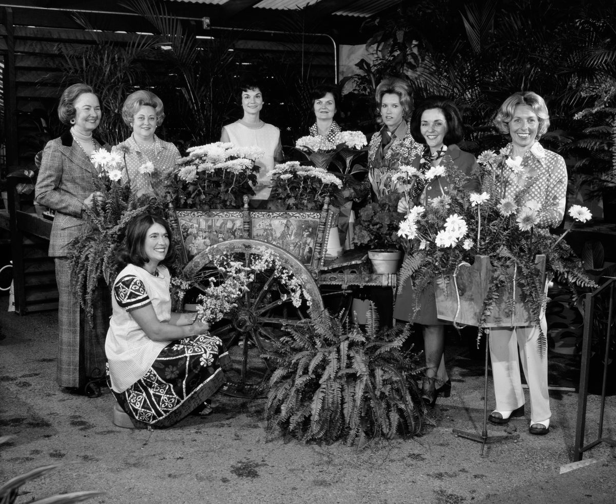 Ladies pose beside the Sicilian donkey cart to be used at the first Trinity River Festival in Fort Worth, April 8, 1973. Pictured are Bertie Hogg (seated), Nancy Lee Bass, Madelon Bradshaw, Susan Tilley, Suzy Williams, Mary Ann Brants, Louise Appleman, and Rudy Kemble. Courtesy Fort Worth Star-Telegram Collection, Special Collections, UT Arlington Libraries