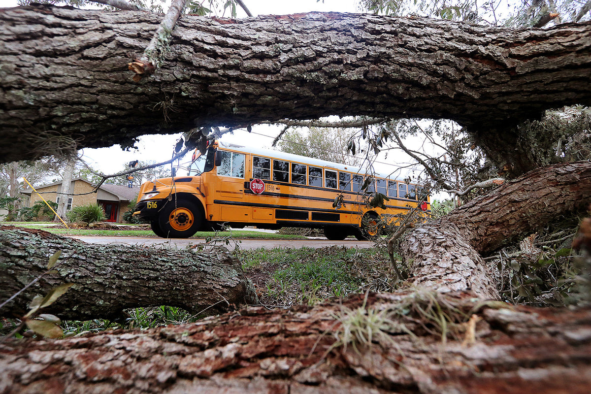 A Volusia County school bus heading to Ormond Beach Middle School is seen through a fallen oak tree left in the wake of Hurricane Matthew. News-Journal/Jim Tiller