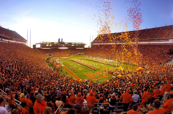 Clemson fans cheered their Tigers to a 34-17 win over Boston College on Saturday, Oct. 18, 2015. Sefton Ipock / Anderson Independent Mail