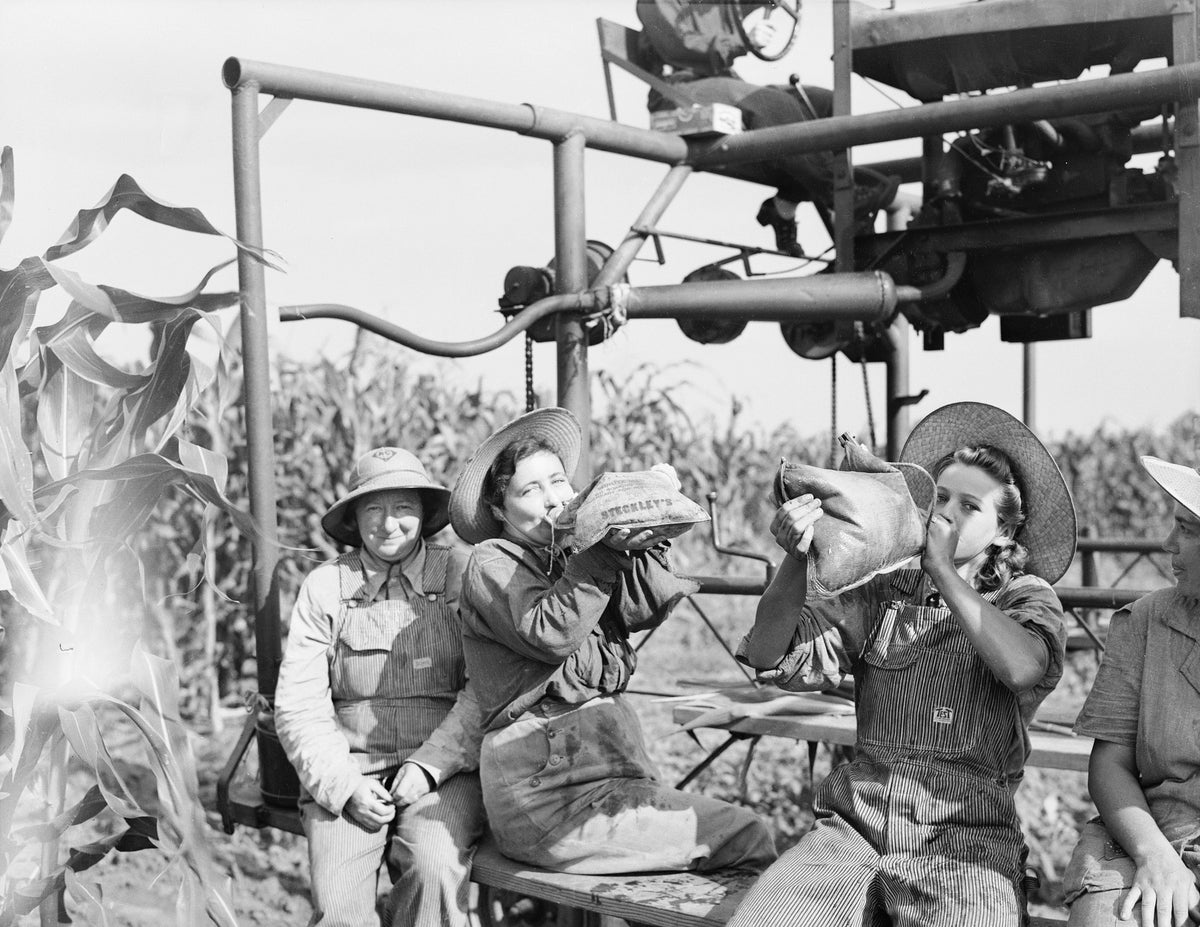 Four women (two in coveralls) take a water break at the Steckley Hybrid Corn farm, July 28, 1943. The women are employed as detasselers in the corn fields. Courtesy Nebraska State Historical Society / #RG2183.PH001943-000728-2