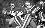 Joe Montana drops back as the San Francisco 49ers play the Miami Dolphins in Super Bowl XIX at Stanford Stadium, Jan. 20, 1985. Frederic Larson/The Chronicle