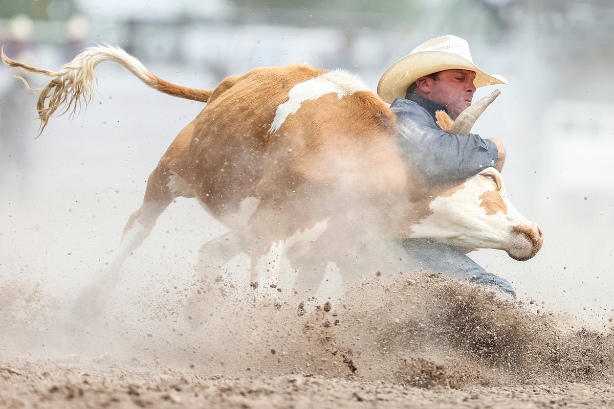  Trell Etbauer, of Goodwill, Okla., competes in steer wrestling. Etbauer scored a time of 8.2 seconds. Michael Cummo / Wyoming Tribune Eagle