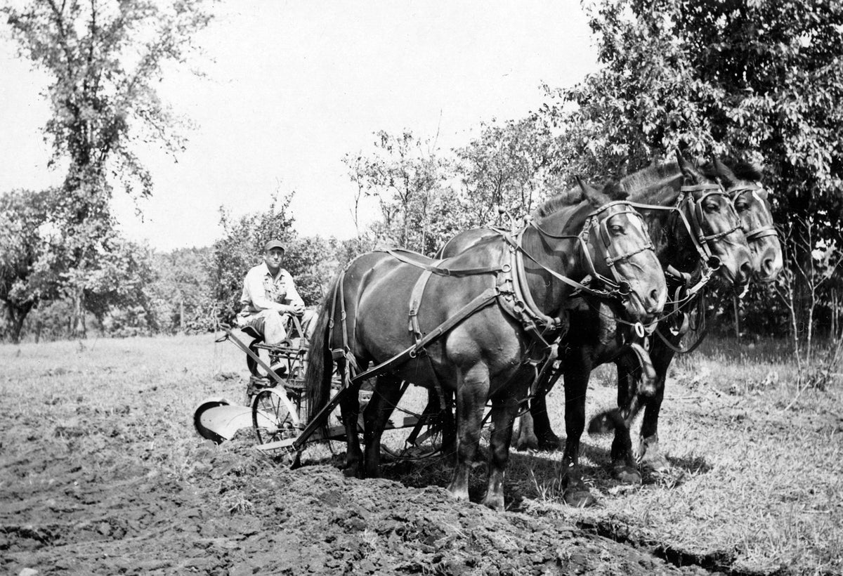 A Pictorial Retrospective of Saginaw County: Looking Back: The 1800s to Today