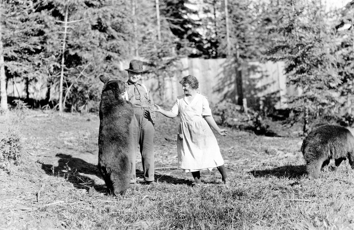 Governor Moore feeding a bear near the Clearwater River, circa 1910. HS 76-29-95