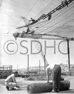 Netting was strung over the Convair factory and installations as camouflage against possible enemy attack. CourtesySan Diego History Center (#91:18643-3)