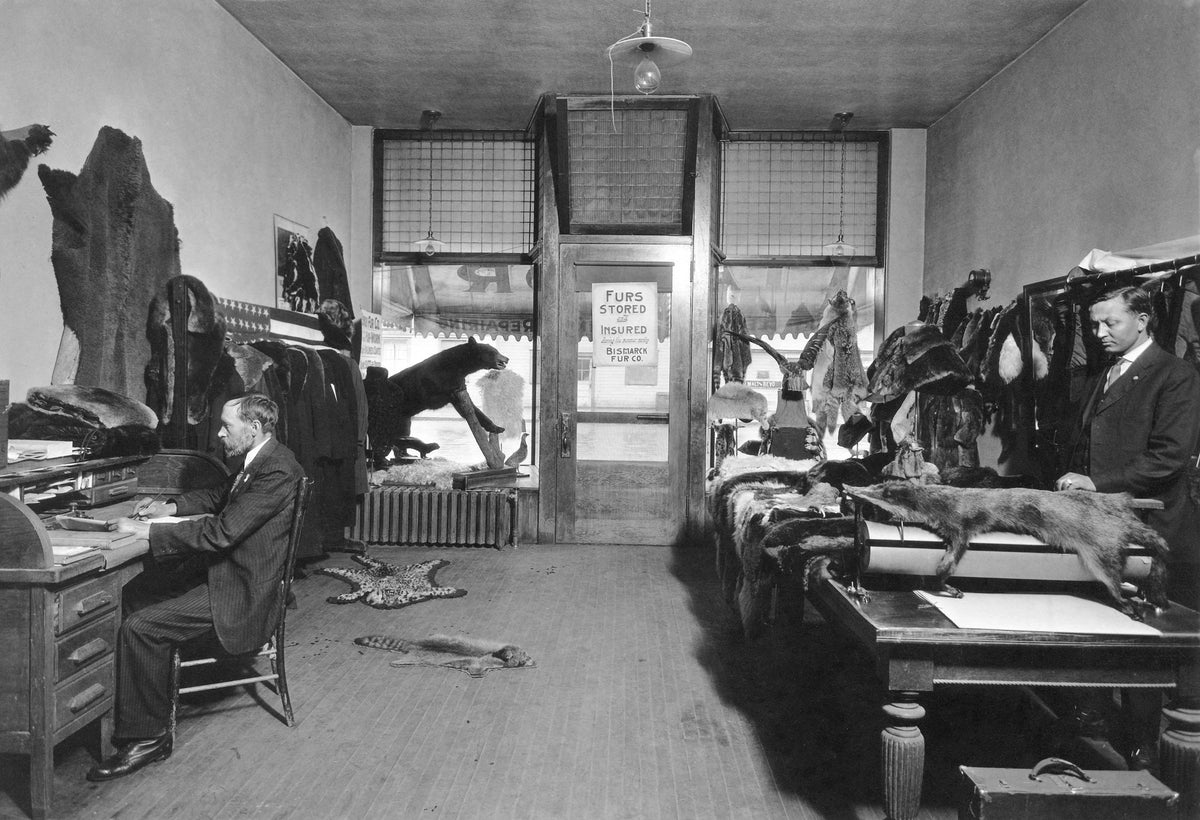 Interior of the Bismarck Fur Co., Bismarck. Identified: Mr. Casperry. Courtesy State Historical Society of North Dakota / #A3287