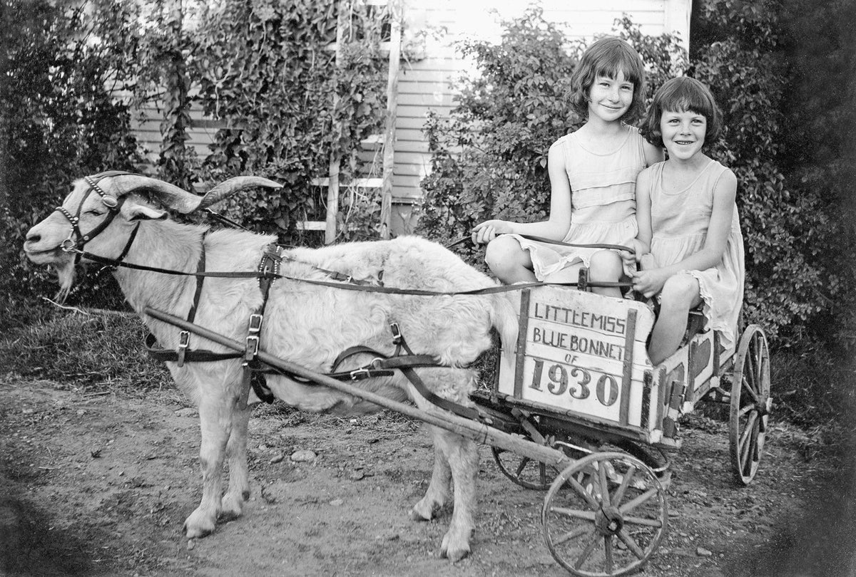 Panhandle Plains Memories: The Early Years 1800s - 1939