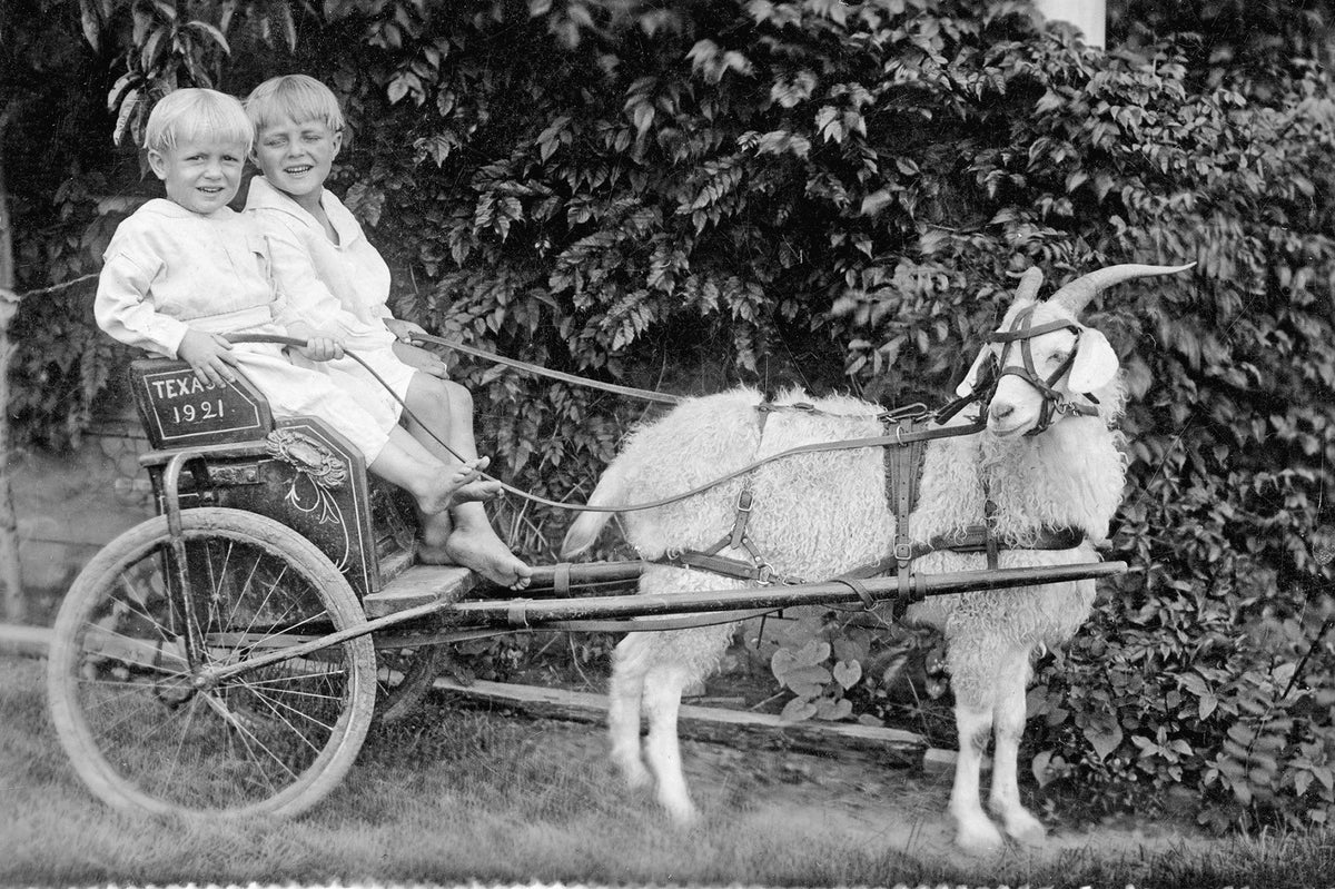 Panhandle Plains Memories: The Early Years 1800s - 1939