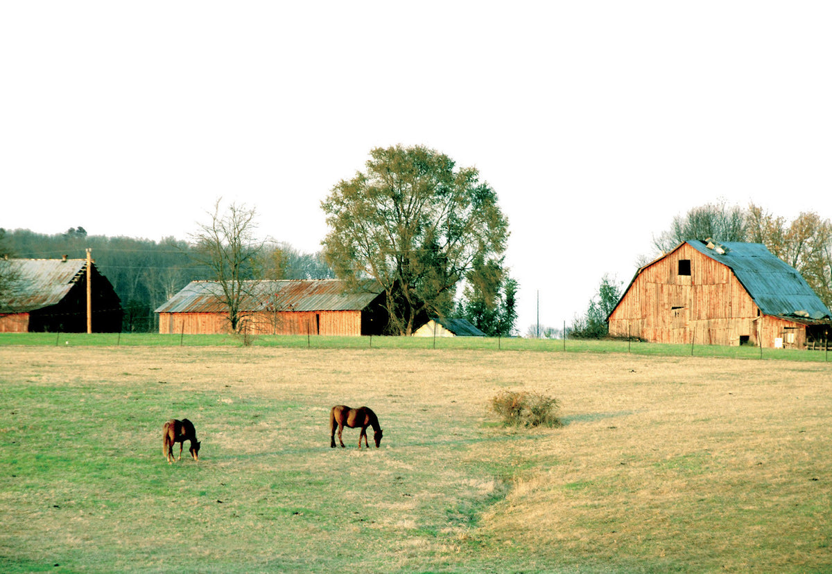 This is Kentucky