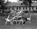 A group of boys forming a pyramid outside the Jewish National Home for Asthmatic Children in Denver, circa 1953. COURTESY BECK ARCHIVES, SPECIAL COLLECTIONS, UNIVERSITY LIBRARIES, UNIVERSITY OF DENVER, #B089.12.0020.0025.00005