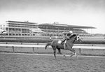 Monmouth Park: The Shore's Greatest Stretch Since 1870