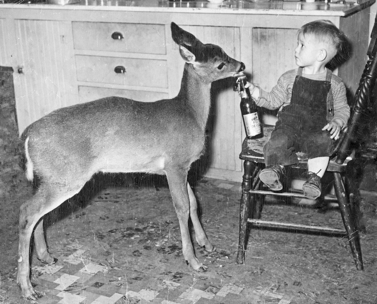 Rockford Memories: Volume II – The '40s, '50s & '60s