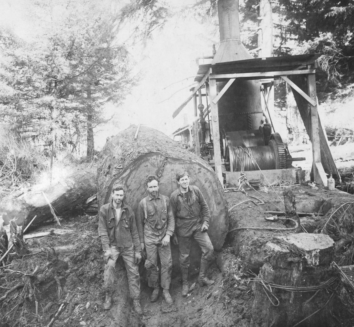 Tillamook County History & Tradition: A Pictorial Retrospective from the Headlight-Herald