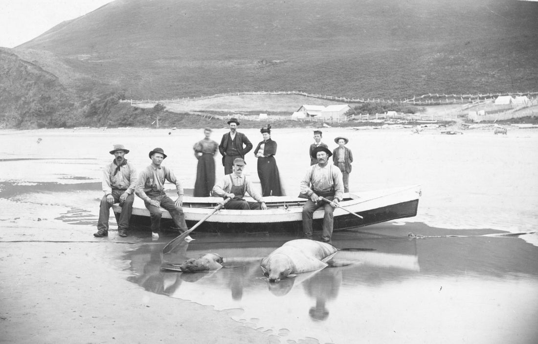 Tillamook County History & Tradition: A Pictorial Retrospective from the Headlight-Herald