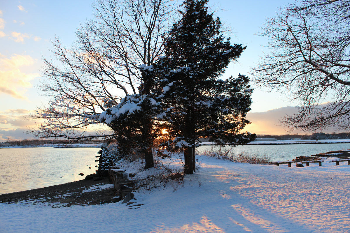 A snowy sunset at Bluff Point Coastal Reserve. Rebecca Davidowicz