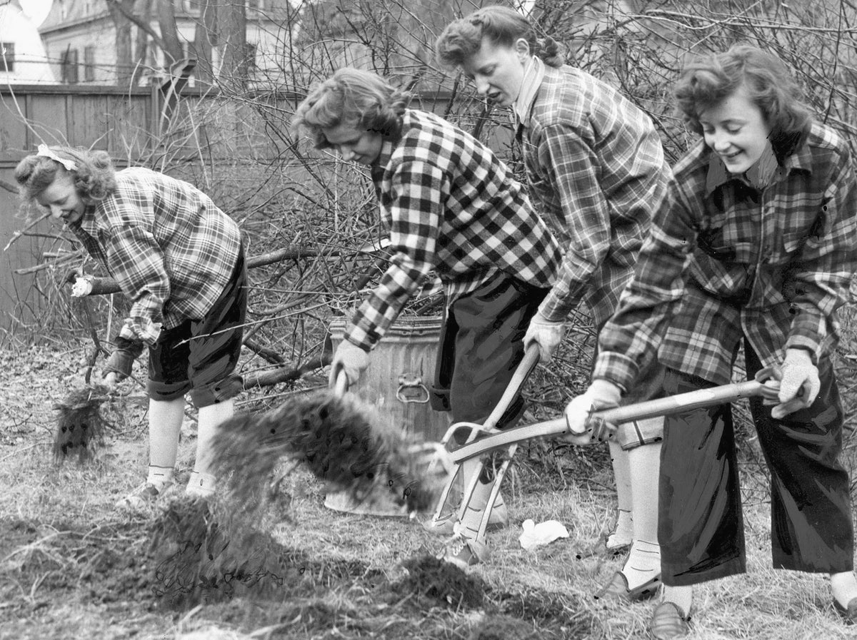 Students at Pembroke College in Brown University tending a victory garden, April 1943. Victory gardens were vegetable gardens planted during the world wars to ensure an adequate food supply for civilians and troops. Courtesy The Providence Journal
