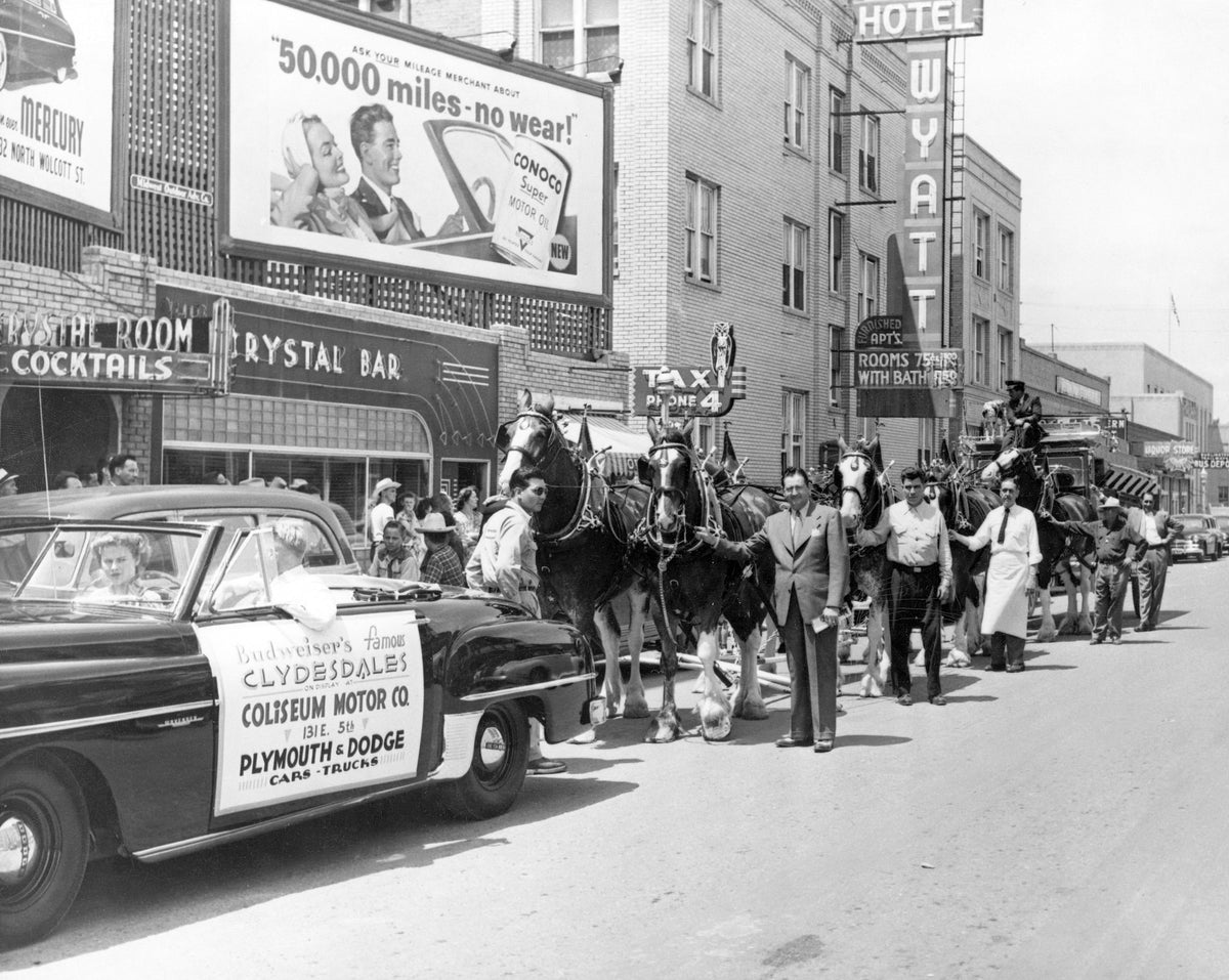Budweiser's famous Clydesdales at the Crystal Bar on East Fifth Street, circa 1949. Courtesy Casper College Western History Center