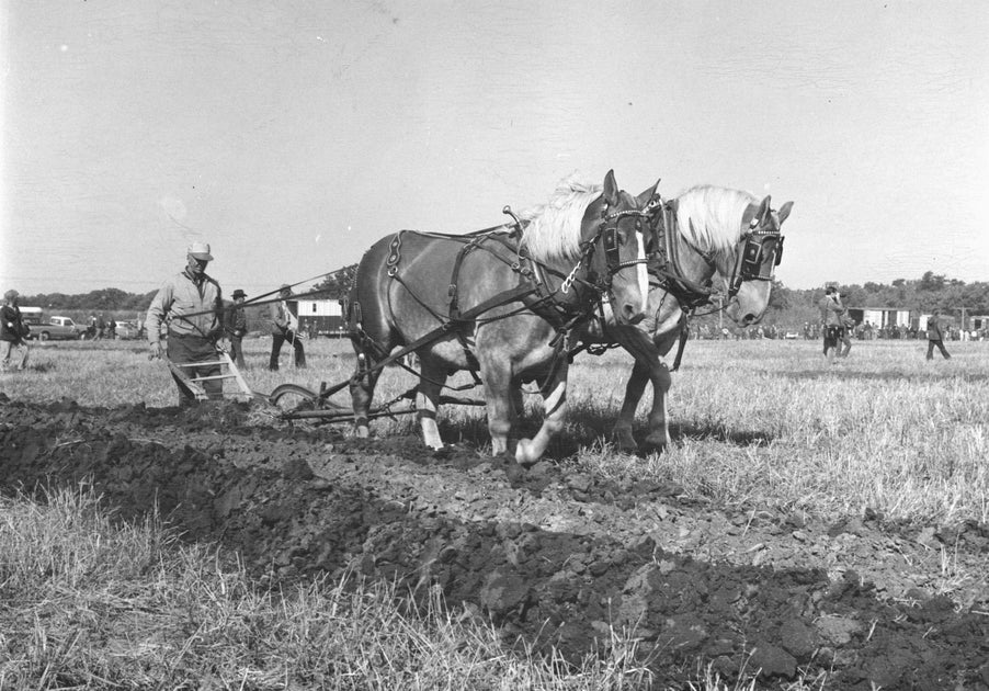 Cedar Valley Memories III Pictorial History Book Pediment Publishing