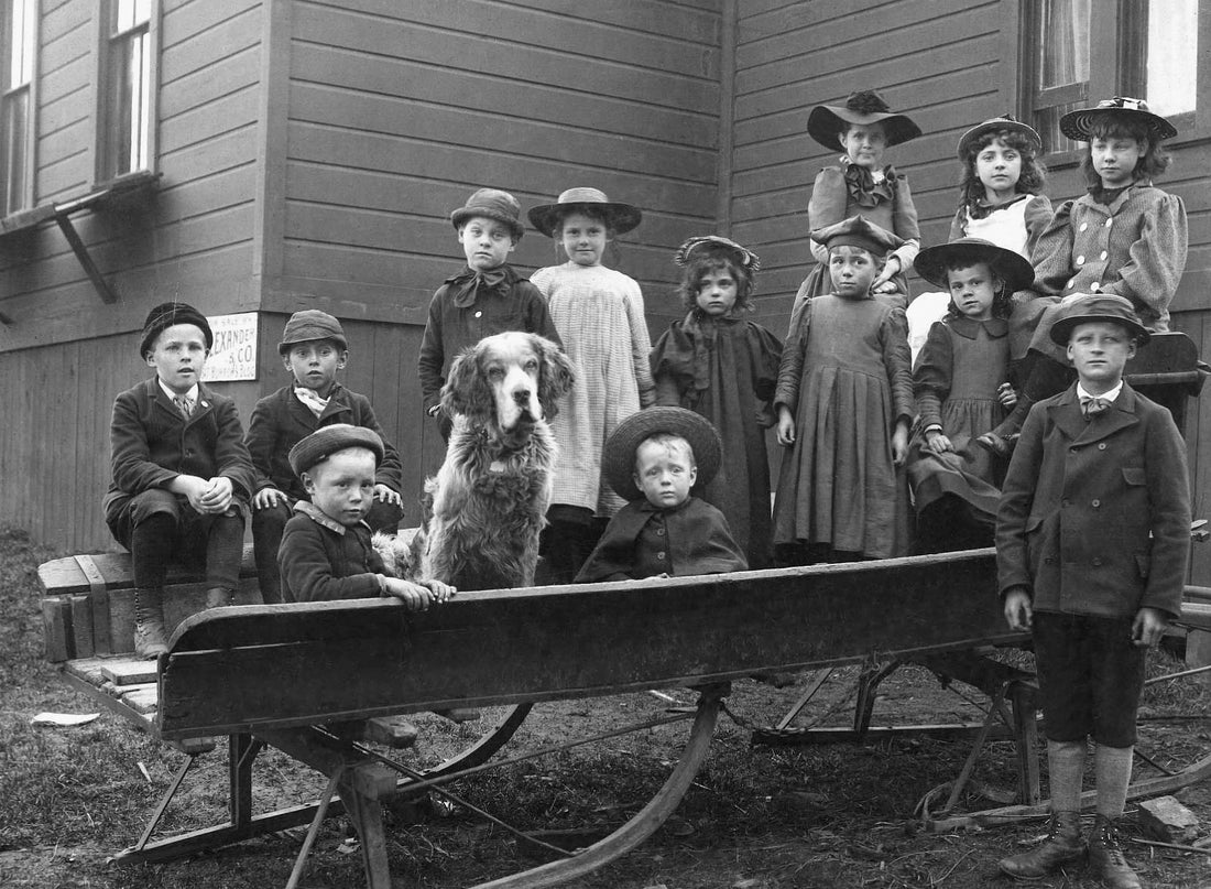 Emeline Louise and Fredrick Johnson and their dog with neighborhood children near 120 Fourth Avenue West, circa 1894. Courtesy Northeast Minnesota Historical Collections, which are on permanent loan to the Kathryn A. Martin Library from the St. Louis County Historical Society. Courtesy of Archives and Special Collections, Kathryn A. Martin Library, University of Minnesota Duluth