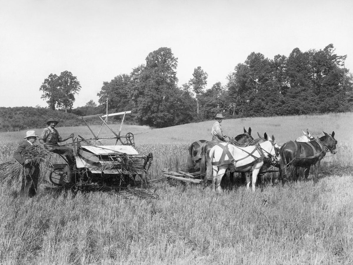 Rudasil Farm near Balds Run (now Fairview Cemetery), Culpeper, circa 1915. From left: Bob Miller, John Henry, John Payne. Courtesy Faye G. Jenkins