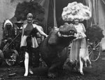 The Denver Post-sponsored Sells Floto Circus traveled  the continent with Bonfils, the smiling hippo, one of the best-known attractions in the circus business, circa 1927. Courtesy The Denver Post Archives