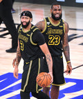 Anthony Davis, left, and LeBron James look pleadingly at the referee for a foul call during Game 2 of the NBA Finals. Wally Skalij / Los Angeles Times