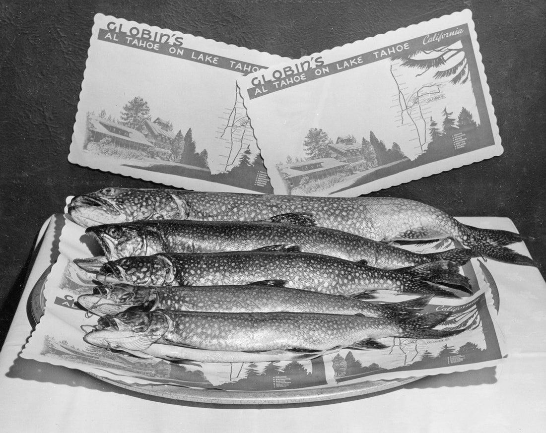 Presented by the Tahoe Daily Tribune & the Lake Tahoe Historical Society: South Lake Tahoe: Historic Photo Album