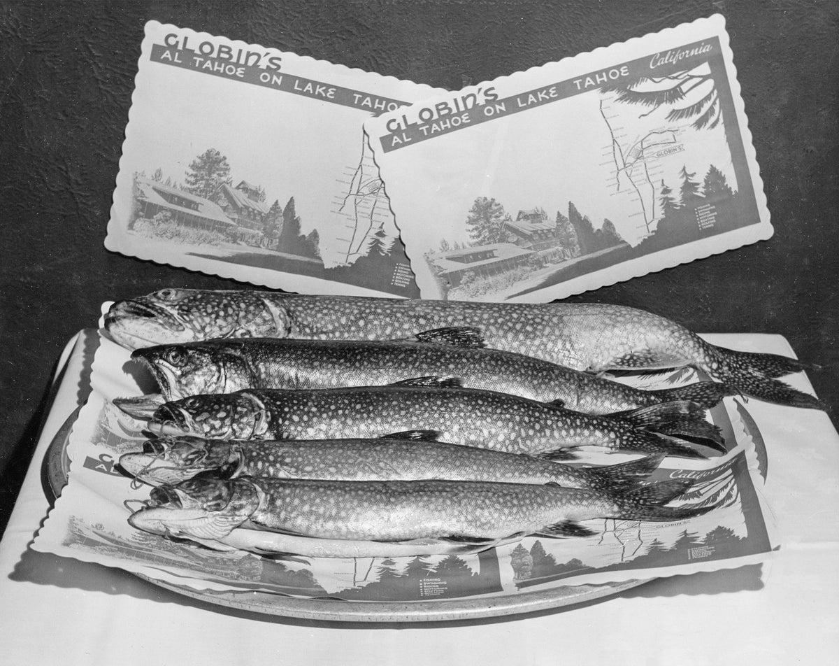 Presented by the Tahoe Daily Tribune & the Lake Tahoe Historical Society: South Lake Tahoe: Historic Photo Album