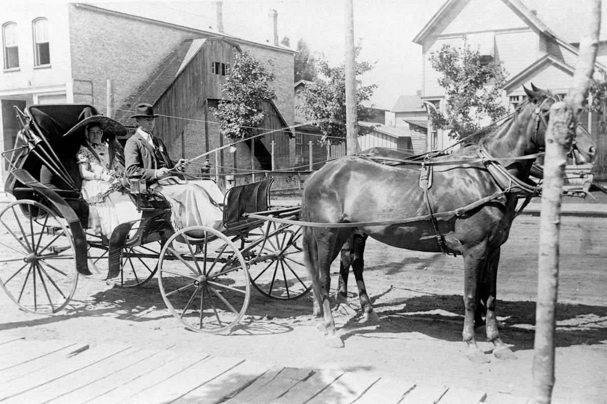A couple riding in a large buggy pulled by a team of horses, Main Avenue, Zeeland, 1895. Courtesy Patti Bing