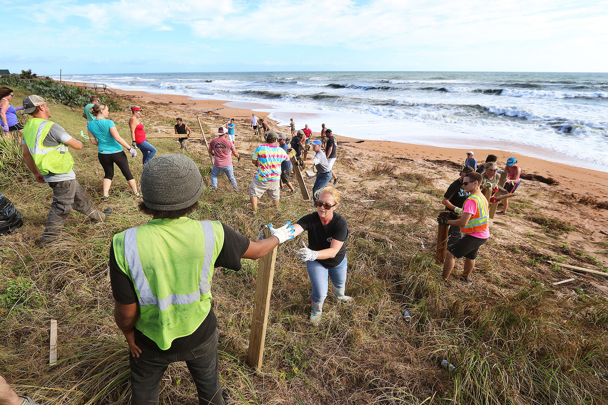 Volunteers work steadily to remove debris from Flagler Beach. News-Journal/Jim Tiller
