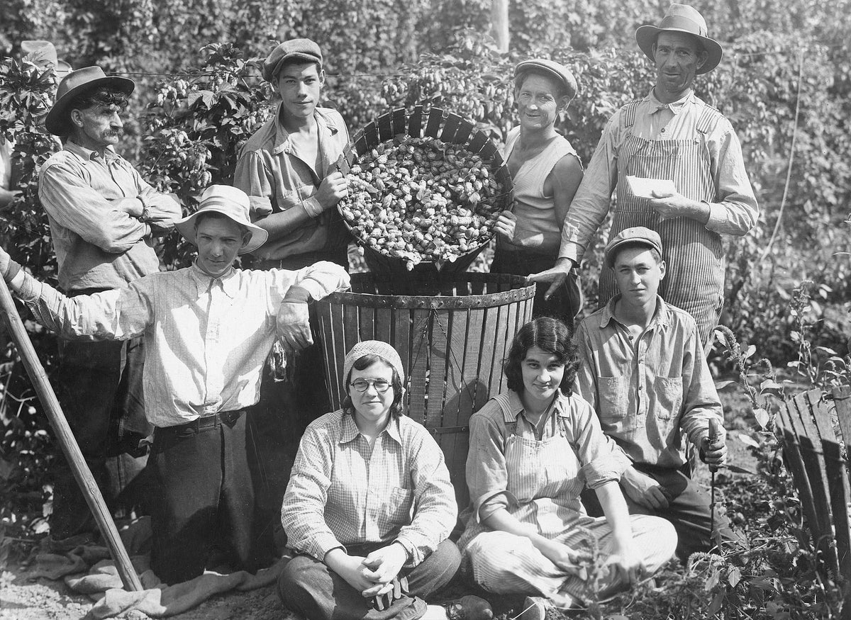 A group at a hop yard near Albany, 1930. Included in the photograph is Daphne Wilson. Courtesy Nelita Ellis-Daily