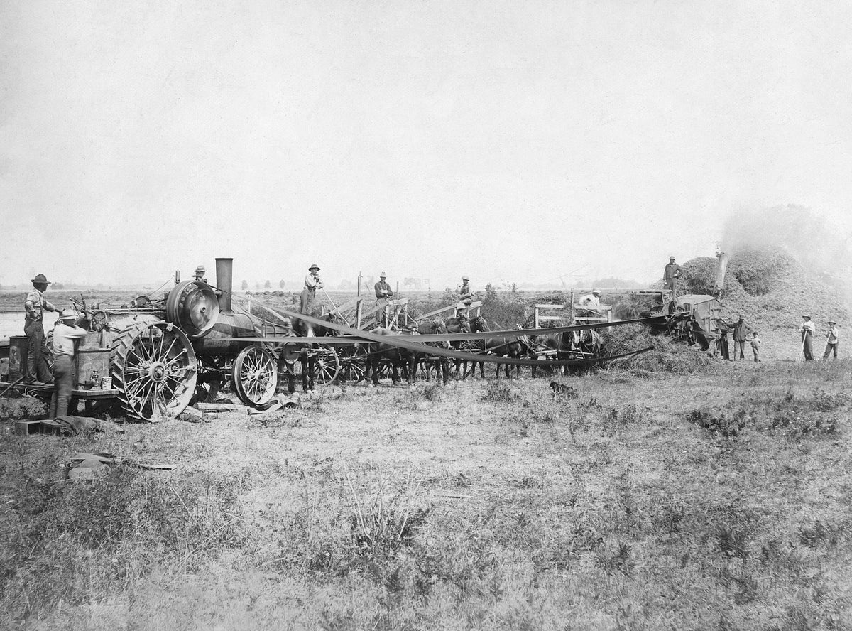 A threshing outfit in an Albany field, 1910. Courtesy Albany Regional Museum