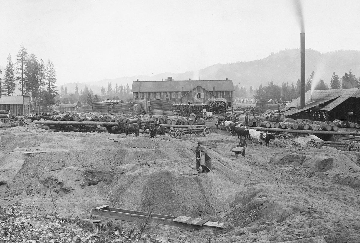 A Mill City logging outfit, circa 1885. Courtesy Albany Regional Museum